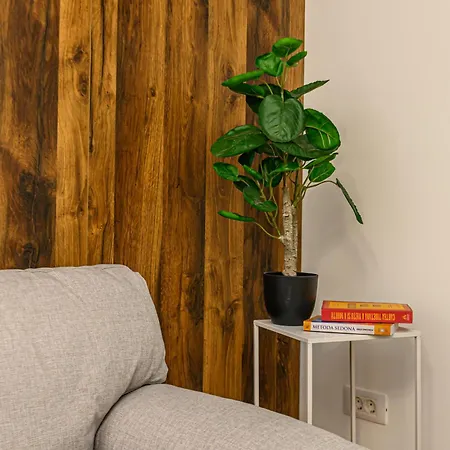 Blue Moon Apartment Brasov